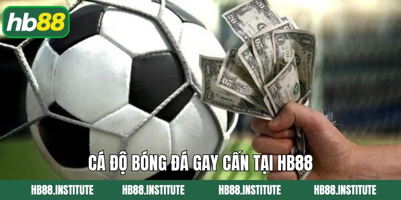 Cá độ bóng đá gay cấn tại Hb88