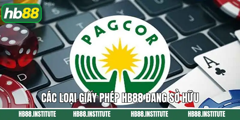 Các loại giấy phép HB88 đang sở hữu 