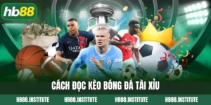 Cách đọc kèo bóng đá tài xỉu