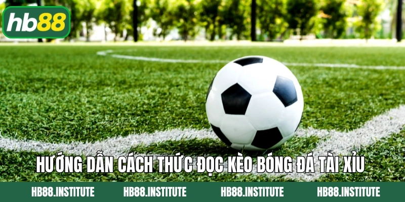 Cách Đọc Kèo Bóng Đá Tài Xỉu Chính Xác Cho Hội Viên HB88 4 Hướng dẫn cách thức đọc kèo bóng đá tài xỉu chính xác nhất
