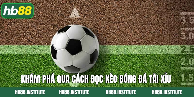 Cách Đọc Kèo Bóng Đá Tài Xỉu Chính Xác Cho Hội Viên HB88 2 Khám phá qua cách đọc kèo bóng đá tài xỉu