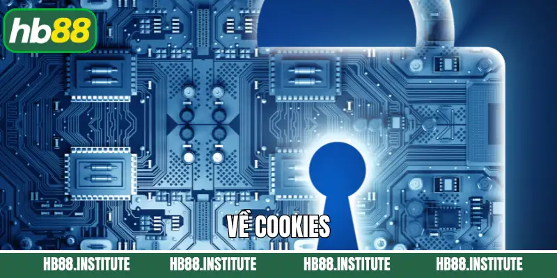 Nội dung về vai trò và việc sử dụng cookies