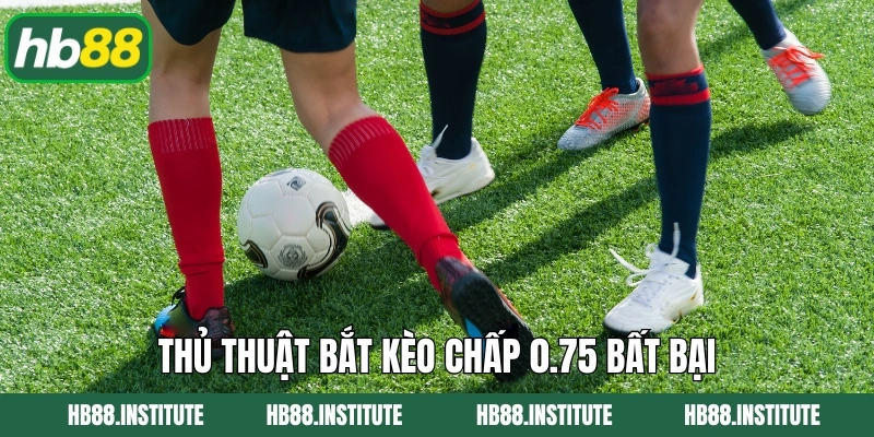 Kèo Chấp 3/4 - Cách Đọc Và Mẹo Cá Cược Hiệu Quả Tại HB88 4 Thủ thuật bắt kèo chấp 0.75 bất bại